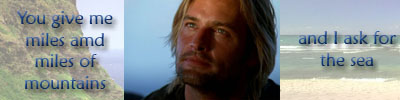 Sawyer banner